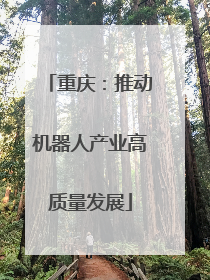 重庆：推动机器人产业高质量发展