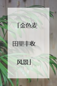 金色麦田里丰收风景