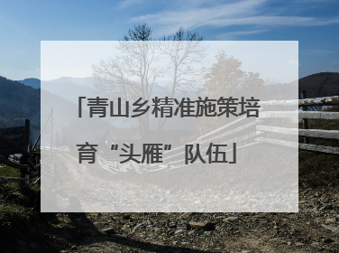 青山乡精准施策培育“头雁”队伍