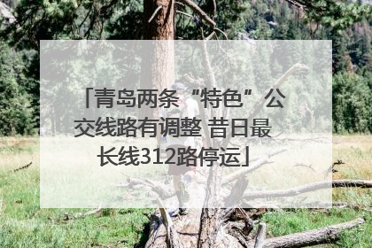 青岛两条“特色”公交线路有调整 昔日最长线312路停运