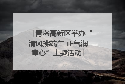 青岛高新区举办“清风拂端午 正气润童心”主题活动