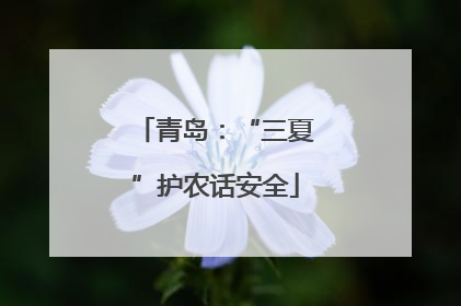 青岛：“三夏”护农话安全
