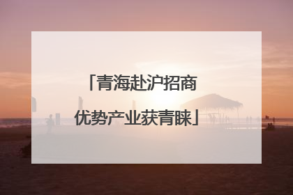 青海赴沪招商 优势产业获青睐