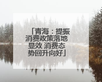 青海：提振消费政策落地显效 消费态势回升向好