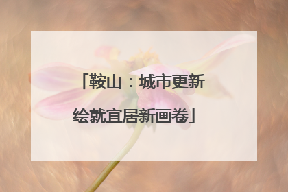 鞍山：城市更新绘就宜居新画卷