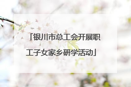 银川市总工会开展职工子女家乡研学活动