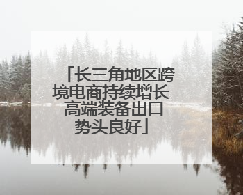 长三角地区跨境电商持续增长 高端装备出口势头良好