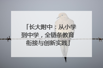 长大附中：从小学到中学，全链条教育衔接与创新实践