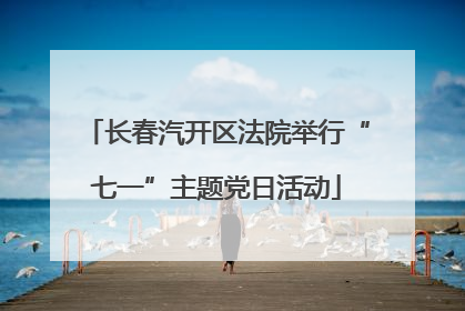 长春汽开区法院举行“七一”主题党日活动