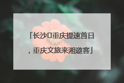 长沙⇌重庆提速首日，重庆文旅来湘邀客