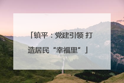 镇平：党建引领 打造居民“幸福里”