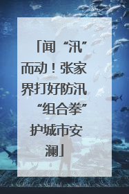 闻“汛”而动！张家界打好防汛“组合拳” 护城市安澜