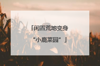 闲置荒地变身“小鹿菜园”