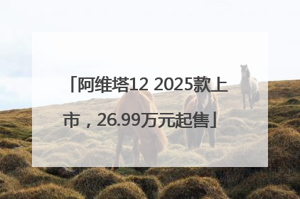阿维塔12 2025款上市，26.99万元起售