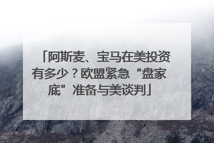阿斯麦、宝马在美投资有多少？欧盟紧急“盘家底”准备与美谈判