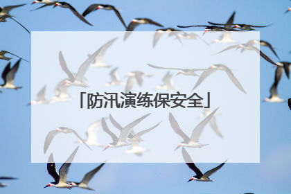 防汛演练保安全