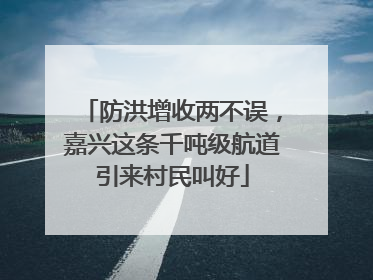 防洪增收两不误，嘉兴这条千吨级航道引来村民叫好