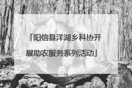 阳信县洋湖乡科协开展助农服务系列活动