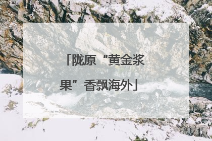 陇原“黄金浆果”香飘海外