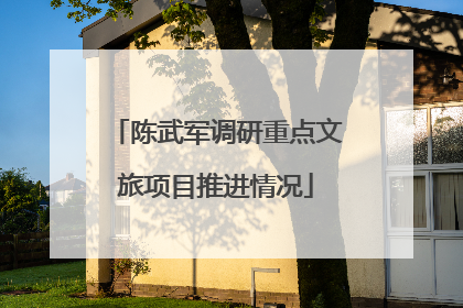 陈武军调研重点文旅项目推进情况