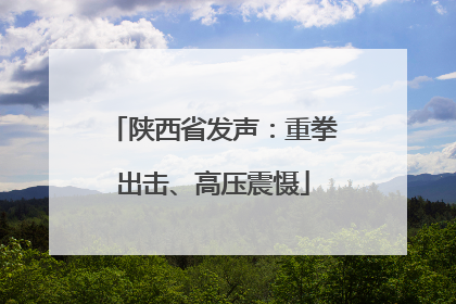 陕西省发声：重拳出击、高压震慑