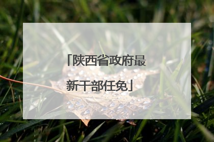 陕西省政府最新干部任免