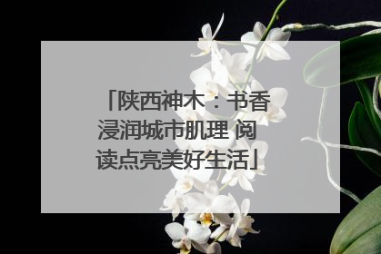 陕西神木：书香浸润城市肌理 阅读点亮美好生活