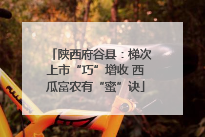 陕西府谷县：梯次上市“巧”增收 西瓜富农有“蜜”诀