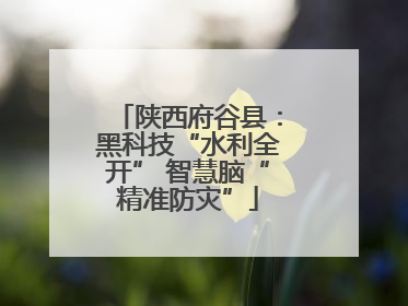 陕西府谷县：黑科技“水利全开” 智慧脑“精准防灾”