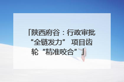 陕西府谷：行政审批“全链发力” 项目齿轮“精准咬合”