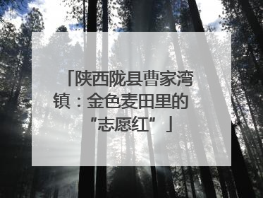 陕西陇县曹家湾镇：金色麦田里的“志愿红”