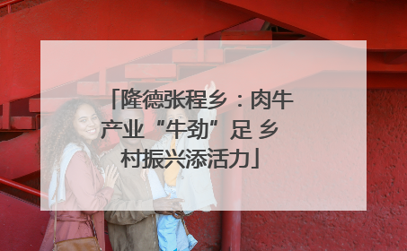 隆德张程乡：肉牛产业“牛劲”足 乡村振兴添活力