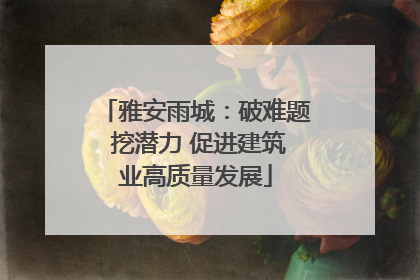 雅安雨城：破难题 挖潜力 促进建筑业高质量发展