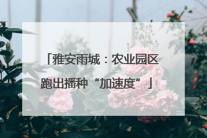 雅安雨城：农业园区跑出播种“加速度”