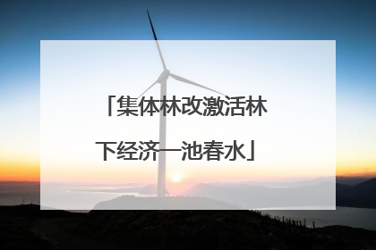 集体林改激活林下经济一池春水