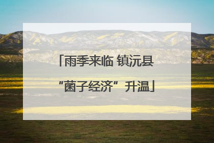 雨季来临 镇沅县“菌子经济”升温