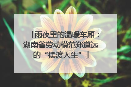 雨夜里的温暖车厢：湖南省劳动模范郑道远的“摆渡人生”