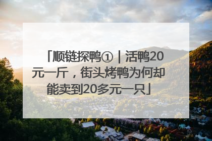顺链探鸭①｜活鸭20元一斤，街头烤鸭为何却能卖到20多元一只