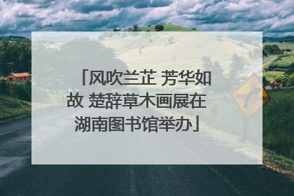 风吹兰芷 芳华如故 楚辞草木画展在湖南图书馆举办