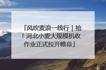 风吹麦浪一线行｜抢！河北小麦大规模机收作业正式拉开帷幕