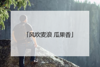 风吹麦浪 瓜果香
