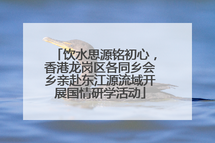 饮水思源铭初心，香港龙岗区各同乡会乡亲赴东江源流域开展国情研学活动