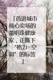 首进城市核心卖场的董明珠健康家，正撕下“格力=空调”的标签