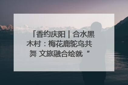 香约庆阳｜合水黑木村：梅花鹿鸵鸟共舞 文旅融合绘就“诗与远方”