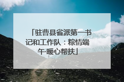 驻曹县省派第一书记和工作队：粽情端午·暖心帮扶