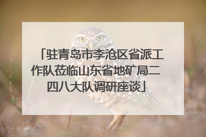 驻青岛市李沧区省派工作队莅临山东省地矿局二四八大队调研座谈