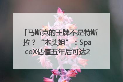 马斯克的王牌不是特斯拉？“木头姐”：SpaceX估值五年后可达2.5万亿美元！
