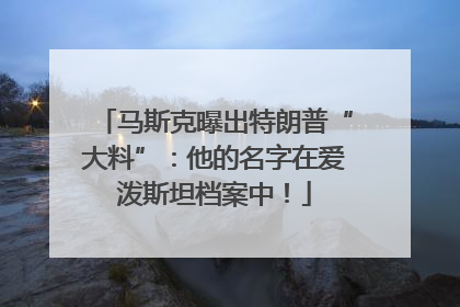 马斯克曝出特朗普“大料”：他的名字在爱泼斯坦档案中！