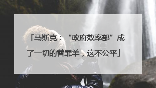 马斯克：“政府效率部”成了一切的替罪羊，这不公平
