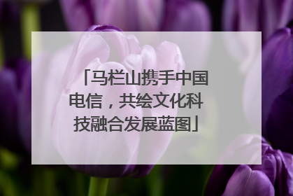 马栏山携手中国电信，共绘文化科技融合发展蓝图